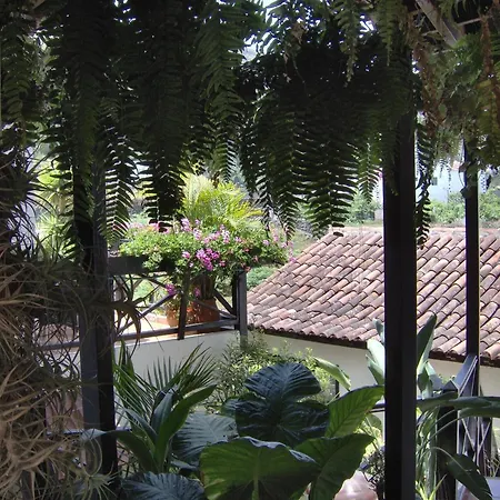 Διαμέρισμα Guenstige Zur Strasse Icod De Los Vinos